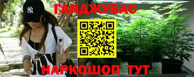 гашик Будённовск