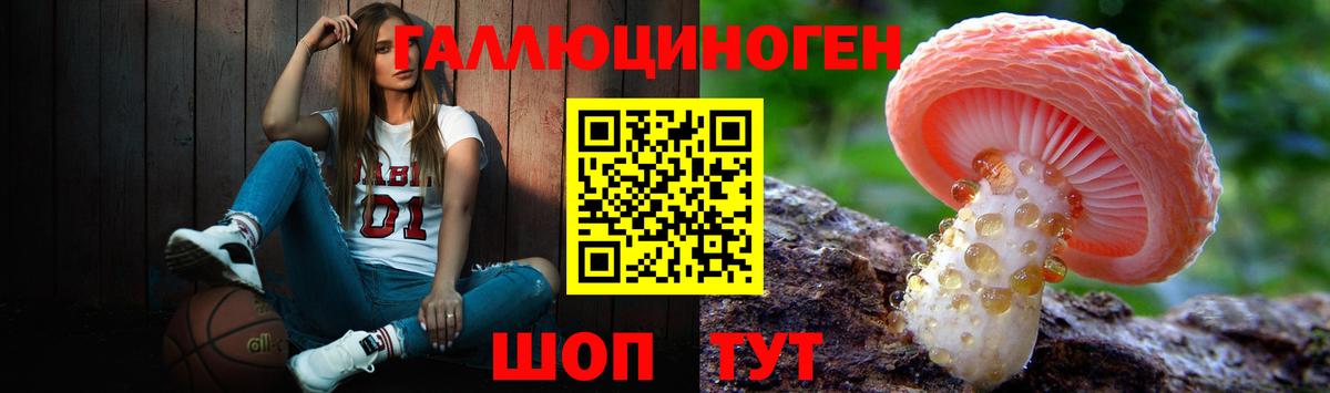 Краснодар  Галлюциногенные грибы прущие грибы  Вход с VPN 