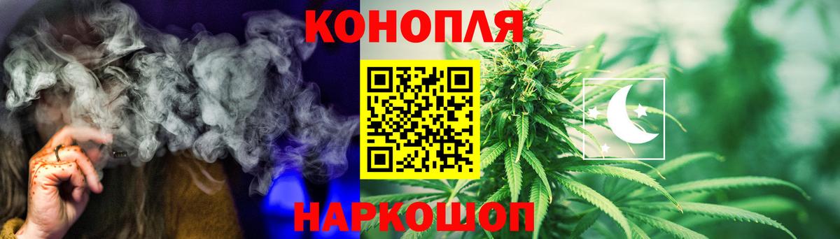Бошки Шишки планчик Краснодар